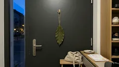 Lorbeer an der Haustür: Warum dieses kleine Ritual mehr ist als Dekoration