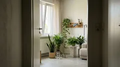 Zimmerpflanzen und Raumluft: Was wirklich hilft – 5 pflegeleichte Klassiker und 3 einfache Tipps